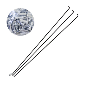 Nunc congue dui nec...