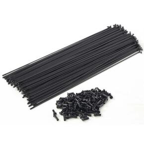 Nunc congue dui nec...