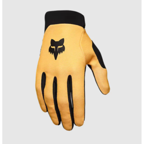 Nunc congue dui nec...