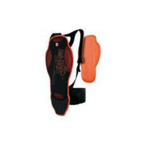 Nunc congue dui nec...