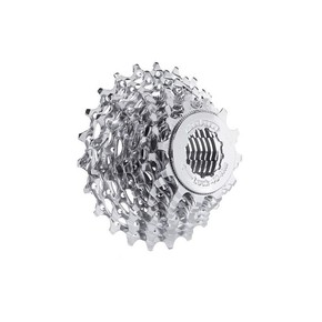 Nunc congue dui nec...