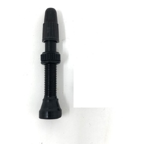 Nunc congue dui nec...